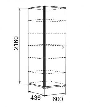 Модуль 1 Шкаф для одежды "Сантана" (Ижмебель)Ижмебель Модуль 1 Шкаф для одежды "Сантана"