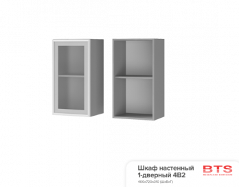 4В2 Шкаф настенный 1-дверный со стеклом (БТС)БТС 4В2 Шкаф настенный 1-дверный со стеклом
